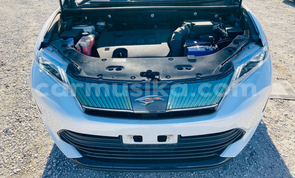 Tenga Tsaru Toyota Harrier Chena Mota in Beitbridge in Matabeleland South Tenga Tsaru Toyota Harrier Chena Mota in Beitbridge in Matabeleland South