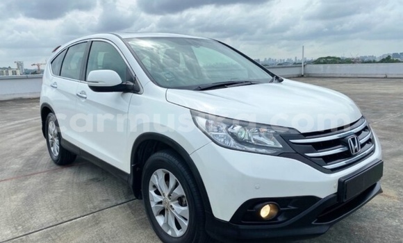 Buy Used Honda CR–V White Car in Beitbridge in Matabeleland South