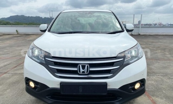 Acheter Occasion Voiture Honda CR–V Blanc à Beitbridge, Matabeleland South Acheter Occasion Voiture Honda CR–V Blanc à Beitbridge, Matabeleland South