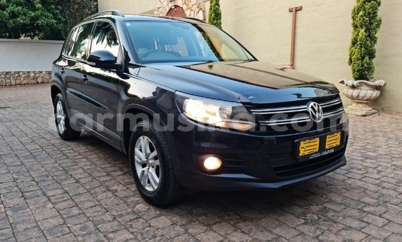 Buy Used Volkswagen Tiguan Other Car in Mutare in Manicaland