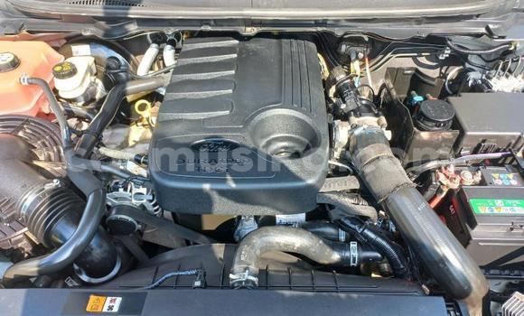 Buy Used Ford Ranger White Car in Beitbridge in Matabeleland South Buy Used Ford Ranger White Car in Beitbridge in Matabeleland South