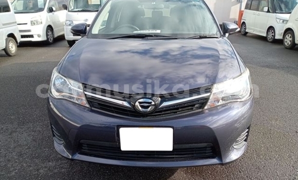 Buy Used Toyota Corolla Beige Car in Beitbridge in Matabeleland South Buy Used Toyota Corolla Beige Car in Beitbridge in Matabeleland South