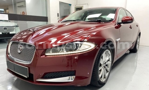 Nunua Ilio tumika Jaguar XF Beige Gari ndani ya Beitbridge nchini Matabeleland Kusini