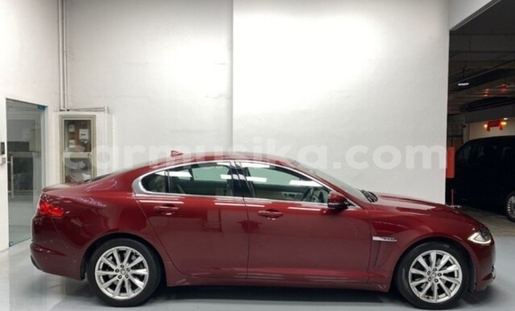 Acheter Occasion Voiture Jaguar XF Beige à Beitbridge, Matabeleland South Acheter Occasion Voiture Jaguar XF Beige à Beitbridge, Matabeleland South