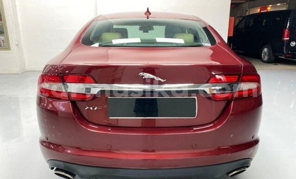 Acheter Occasion Voiture Jaguar XF Beige à Beitbridge, Matabeleland South Acheter Occasion Voiture Jaguar XF Beige à Beitbridge, Matabeleland South