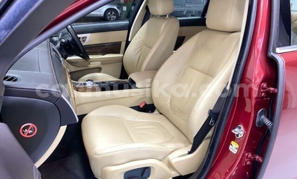 Acheter Occasion Voiture Jaguar XF Beige à Beitbridge, Matabeleland South Acheter Occasion Voiture Jaguar XF Beige à Beitbridge, Matabeleland South