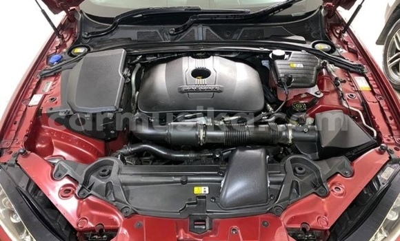 Acheter Occasion Voiture Jaguar XF Beige à Beitbridge, Matabeleland South Acheter Occasion Voiture Jaguar XF Beige à Beitbridge, Matabeleland South