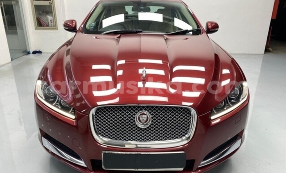 Acheter Occasion Voiture Jaguar XF Beige à Beitbridge, Matabeleland South Acheter Occasion Voiture Jaguar XF Beige à Beitbridge, Matabeleland South