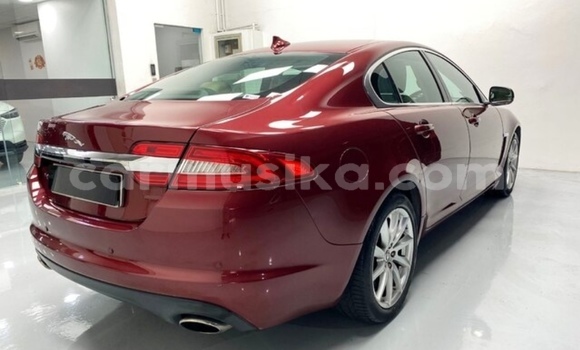 Acheter Occasion Voiture Jaguar XF Beige à Beitbridge, Matabeleland South Acheter Occasion Voiture Jaguar XF Beige à Beitbridge, Matabeleland South