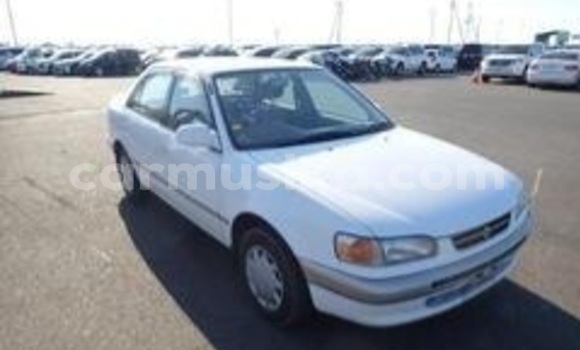 Nunua Ilio tumika Toyota Corolla Nyeupe Gari ndani ya Beitbridge nchini Matabeleland Kusini