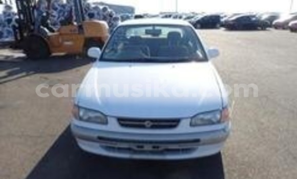 Acheter Occasion Voiture Toyota Corolla Blanc à Beitbridge, Matabeleland South Acheter Occasion Voiture Toyota Corolla Blanc à Beitbridge, Matabeleland South