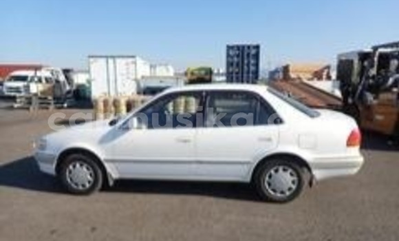 Acheter Occasion Voiture Toyota Corolla Blanc à Beitbridge, Matabeleland South Acheter Occasion Voiture Toyota Corolla Blanc à Beitbridge, Matabeleland South