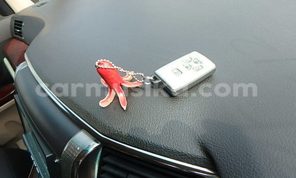 Tenga Tsaru Toyota Alphard Nhema Mota in Beitbridge in Matabeleland South Tenga Tsaru Toyota Alphard Nhema Mota in Beitbridge in Matabeleland South