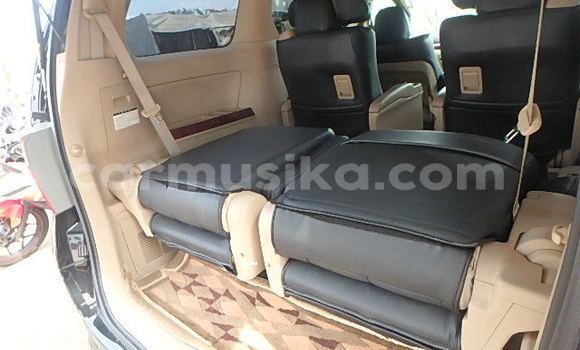 Tenga Tsaru Toyota Alphard Nhema Mota in Beitbridge in Matabeleland South Tenga Tsaru Toyota Alphard Nhema Mota in Beitbridge in Matabeleland South