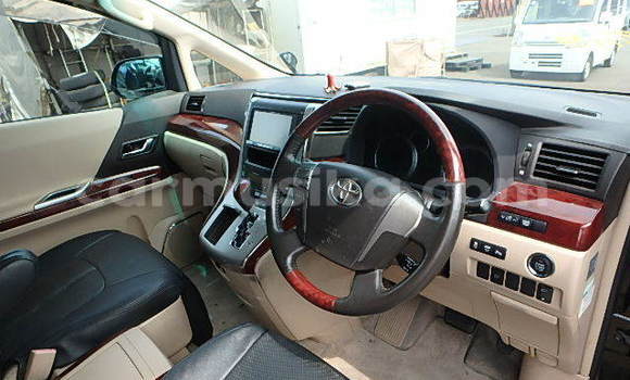 Tenga Tsaru Toyota Alphard Nhema Mota in Beitbridge in Matabeleland South Tenga Tsaru Toyota Alphard Nhema Mota in Beitbridge in Matabeleland South