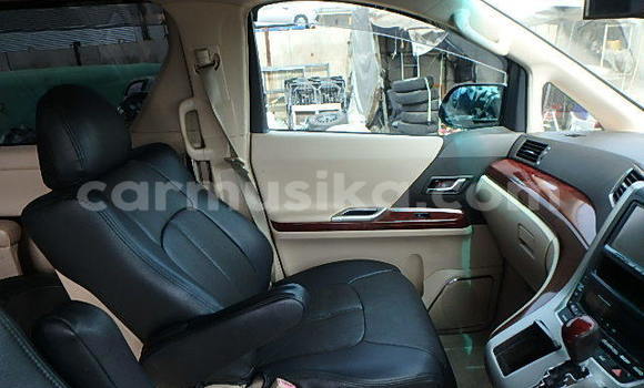 Tenga Tsaru Toyota Alphard Nhema Mota in Beitbridge in Matabeleland South Tenga Tsaru Toyota Alphard Nhema Mota in Beitbridge in Matabeleland South