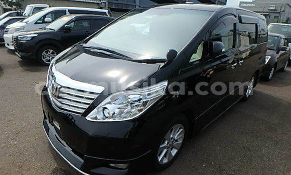 Tenga Tsaru Toyota Alphard Nhema Mota in Beitbridge in Matabeleland South Tenga Tsaru Toyota Alphard Nhema Mota in Beitbridge in Matabeleland South