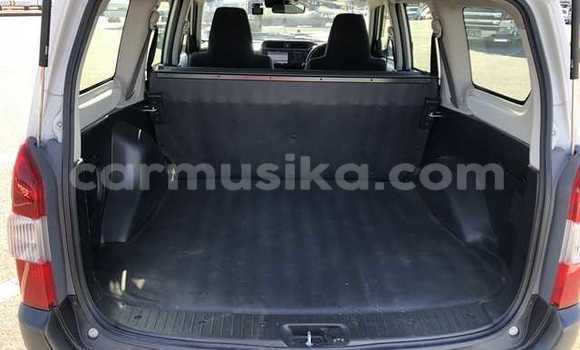 Tenga Tsaru Toyota Probox Zvimwe Mota in Beitbridge in Matabeleland South Tenga Tsaru Toyota Probox Zvimwe Mota in Beitbridge in Matabeleland South