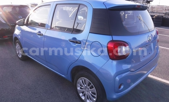 Buy Used Toyota Passo Other Car in Beitbridge in Matabeleland South Buy Used Toyota Passo Other Car in Beitbridge in Matabeleland South