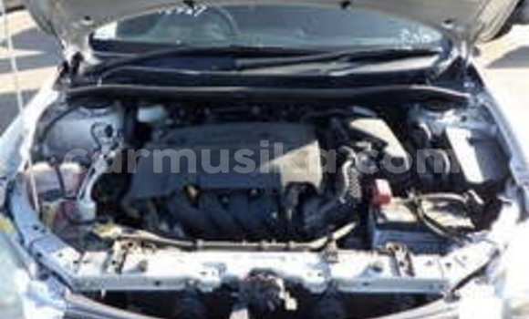 Acheter Occasion Voiture Toyota Corolla Gris à Beitbridge, Matabeleland South Acheter Occasion Voiture Toyota Corolla Gris à Beitbridge, Matabeleland South