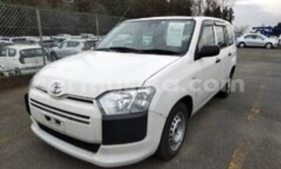 Acheter Occasion Voiture Toyota Probox Blanc à Beitbridge, Matabeleland South