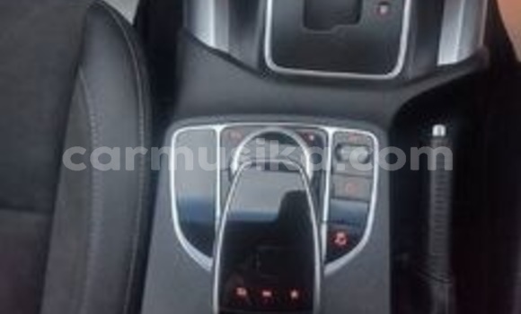 Acheter Occasion Voiture Mercedes‒Benz X-klasse Concept Gris à Beitbridge, Matabeleland South Acheter Occasion Voiture Mercedes‒Benz X-klasse Concept Gris à Beitbridge, Matabeleland South