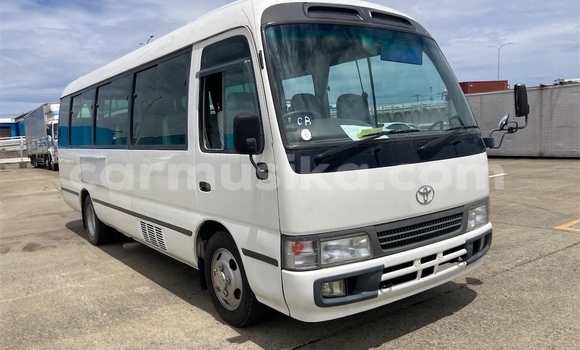 Buy Used Toyota Coaster White Car in Beitbridge in Matabeleland South Buy Used Toyota Coaster White Car in Beitbridge in Matabeleland South