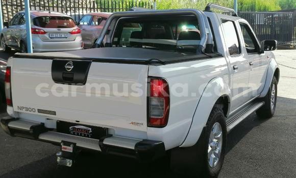 Acheter Occasion Voiture Nissan NP 300 Blanc à Beitbridge, Matabeleland South Acheter Occasion Voiture Nissan NP 300 Blanc à Beitbridge, Matabeleland South