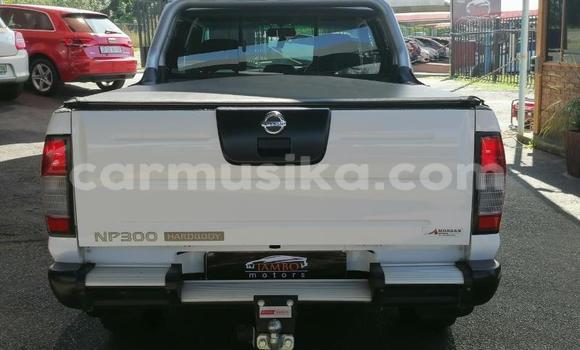 Acheter Occasion Voiture Nissan NP 300 Blanc à Beitbridge, Matabeleland South Acheter Occasion Voiture Nissan NP 300 Blanc à Beitbridge, Matabeleland South