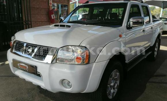 Acheter Occasion Voiture Nissan NP 300 Blanc à Beitbridge, Matabeleland South Acheter Occasion Voiture Nissan NP 300 Blanc à Beitbridge, Matabeleland South
