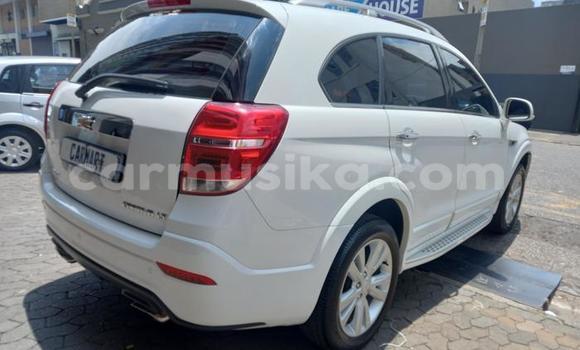 Buy Used Chevrolet Captiva White Car in Beitbridge in Matabeleland South Buy Used Chevrolet Captiva White Car in Beitbridge in Matabeleland South