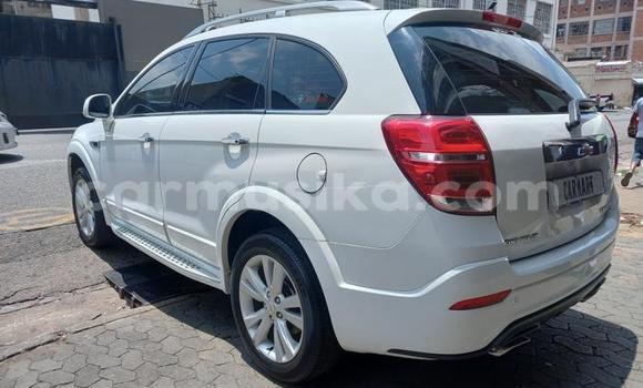 Buy Used Chevrolet Captiva White Car in Beitbridge in Matabeleland South Buy Used Chevrolet Captiva White Car in Beitbridge in Matabeleland South