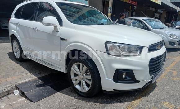 Buy Used Chevrolet Captiva White Car in Beitbridge in Matabeleland South Buy Used Chevrolet Captiva White Car in Beitbridge in Matabeleland South