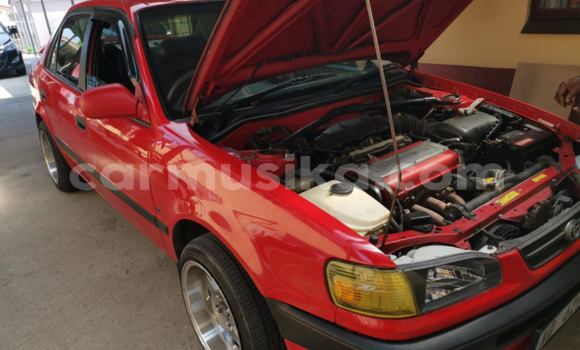 Buy Used Toyota Corolla Red Car in Beitbridge in Matabeleland South