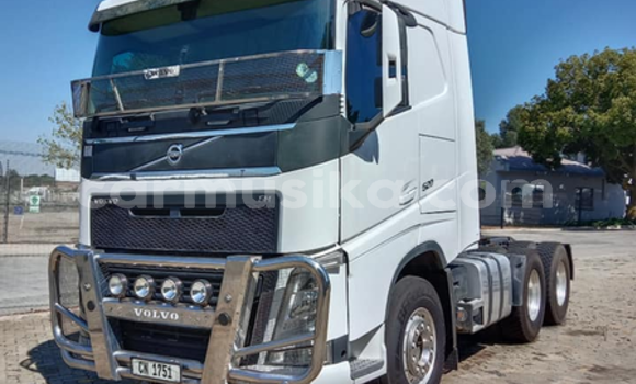 Buy Used Scania Irizar White Truck in Beitbridge in Matabeleland South