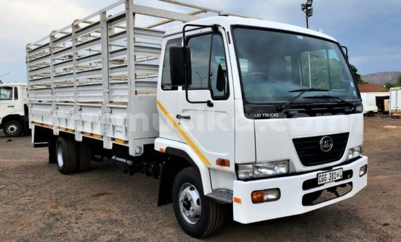 Buy Used Nissan UD White Truck in Beitbridge in Matabeleland South
