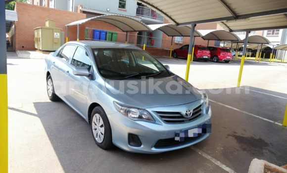 Buy Used Toyota Corolla Beige Car in Beitbridge in Matabeleland South