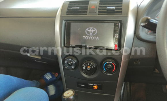 Tenga Tsaru Toyota Corolla Beige Mota in Beitbridge in Matabeleland South Tenga Tsaru Toyota Corolla Beige Mota in Beitbridge in Matabeleland South