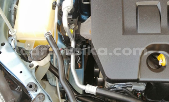 Tenga Tsaru Toyota Corolla Beige Mota in Beitbridge in Matabeleland South Tenga Tsaru Toyota Corolla Beige Mota in Beitbridge in Matabeleland South