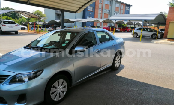 Tenga Tsaru Toyota Corolla Beige Mota in Beitbridge in Matabeleland South Tenga Tsaru Toyota Corolla Beige Mota in Beitbridge in Matabeleland South