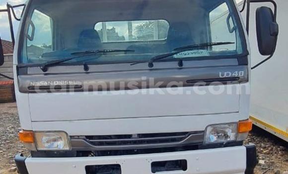 Tenga Tsaru Nissan UD Chena Rori in Beitbridge in Matabeleland South Tenga Tsaru Nissan UD Chena Rori in Beitbridge in Matabeleland South