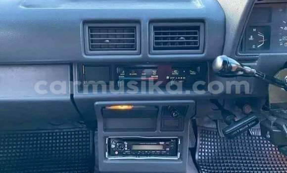 Nunua Ilio tumika Toyota Hilux Beige Gari ndani ya Beitbridge nchini Matabeleland Kusini Nunua Ilio tumika Toyota Hilux Beige Gari ndani ya Beitbridge nchini Matabeleland Kusini