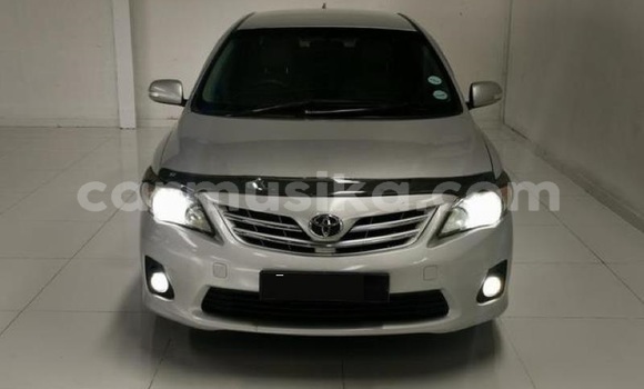 Acheter Occasion Voiture Toyota Corolla Gris à Beitbridge, Matabeleland South Acheter Occasion Voiture Toyota Corolla Gris à Beitbridge, Matabeleland South