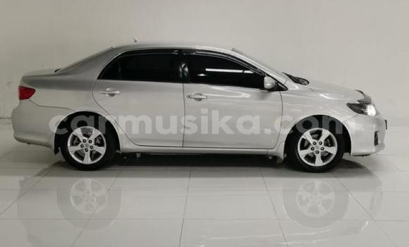 Acheter Occasion Voiture Toyota Corolla Gris à Beitbridge, Matabeleland South Acheter Occasion Voiture Toyota Corolla Gris à Beitbridge, Matabeleland South