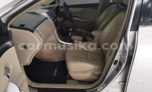 Acheter Occasion Voiture Toyota Corolla Gris à Beitbridge, Matabeleland South Acheter Occasion Voiture Toyota Corolla Gris à Beitbridge, Matabeleland South