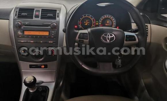 Acheter Occasion Voiture Toyota Corolla Gris à Beitbridge, Matabeleland South Acheter Occasion Voiture Toyota Corolla Gris à Beitbridge, Matabeleland South