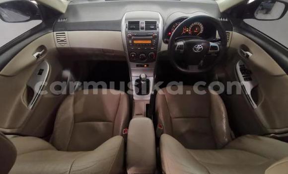 Acheter Occasion Voiture Toyota Corolla Gris à Beitbridge, Matabeleland South Acheter Occasion Voiture Toyota Corolla Gris à Beitbridge, Matabeleland South