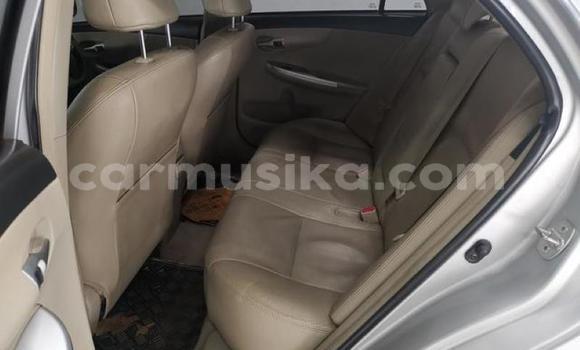 Acheter Occasion Voiture Toyota Corolla Gris à Beitbridge, Matabeleland South Acheter Occasion Voiture Toyota Corolla Gris à Beitbridge, Matabeleland South