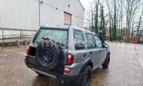 Tenga Tsaru Land Rover Freelander Sirivha Mota in Beitbridge in Matabeleland South Tenga Tsaru Land Rover Freelander Sirivha Mota in Beitbridge in Matabeleland South