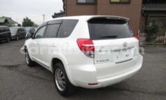 Acheter Occasion Voiture Toyota Vanguard Blanc à Beitbridge, Matabeleland South Acheter Occasion Voiture Toyota Vanguard Blanc à Beitbridge, Matabeleland South